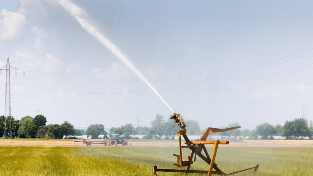 Der Kanton Thurgau hebt das Ende Juni erlassene Wasserentnahmeverbot auf. (Archivbild)