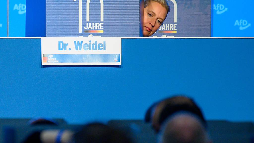 Alice Weidel, AfD-Bundesvorsitzende und Fraktionsvorsitzende der AfD-Bundestragsfraktion schaut während der AfD Europawahlversammlung hinter ihrer individuellen Wahlkabine hervor. Die Delegierten kamen in Magdeburg zum zweiten Teil der AfD Europawahlversammlung zusammen. Foto: Klaus-Dietmar Gabbert/dpa