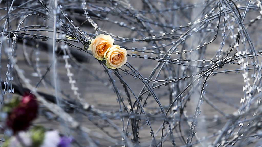 Rosen stecken in einem Stacheldraht, der belarussische Soldaten und Demonstranten während einer Protestkundgebung voneinander trennen soll.