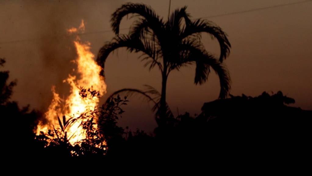 Die Brände im Amazonas-Gebiet legen im Vergleich mit dem Vorjahr wieder zu. (Archivbild)