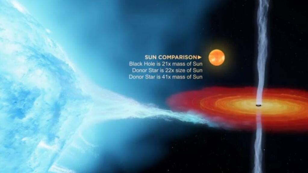 Das 1972 entdeckte Schwarze Loch Cygnus X-1 hat eine um 50 Prozent höhere Masse als bisher angenommen. Daraus schliessen Forscher, dass helle Sterne, bevor sie zur Supernova werden, weniger Masse verlieren als man bisher dachte. (Pressebild ICRAR)