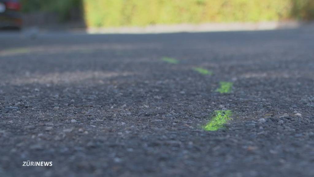 Veloroute: Stadt verzichtet auf Mitwirkung