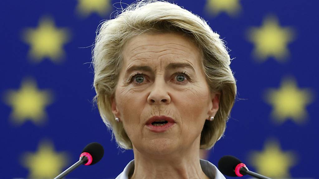 EU-Kommissionspräsidentin Ursula von der Leyen spricht während einer Plenarsitzung im Europäischen Parlament.