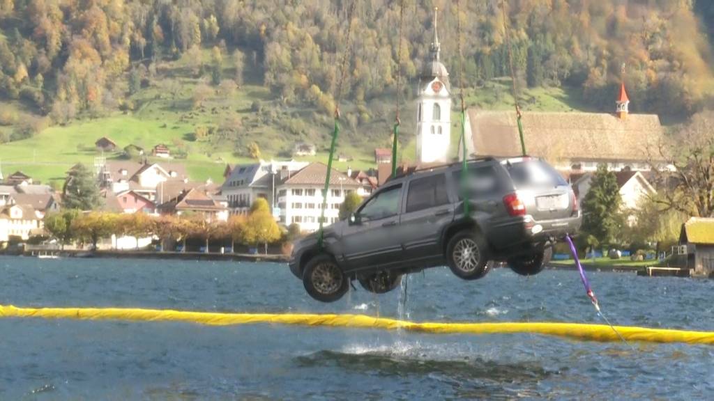 In den Zugersee gerollt: Auto in Arth geborgen