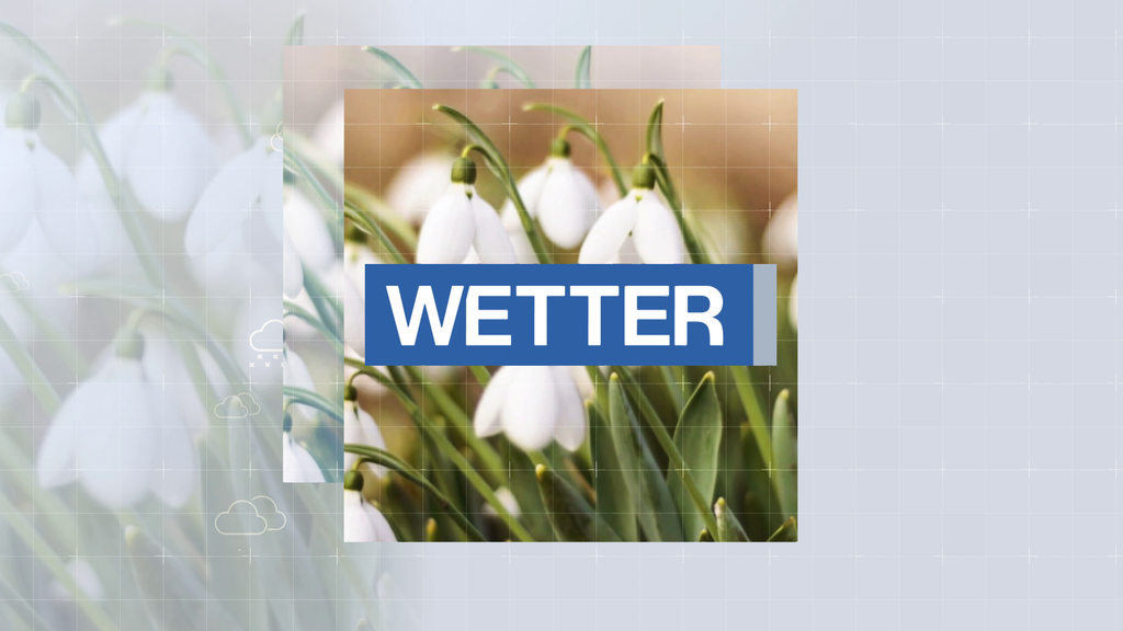 Wetter