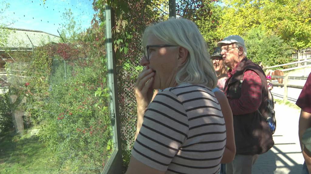 Demenztherapie im Walter Zoo: Tiere sollen bei Betroffenen Erinnerungen wecken