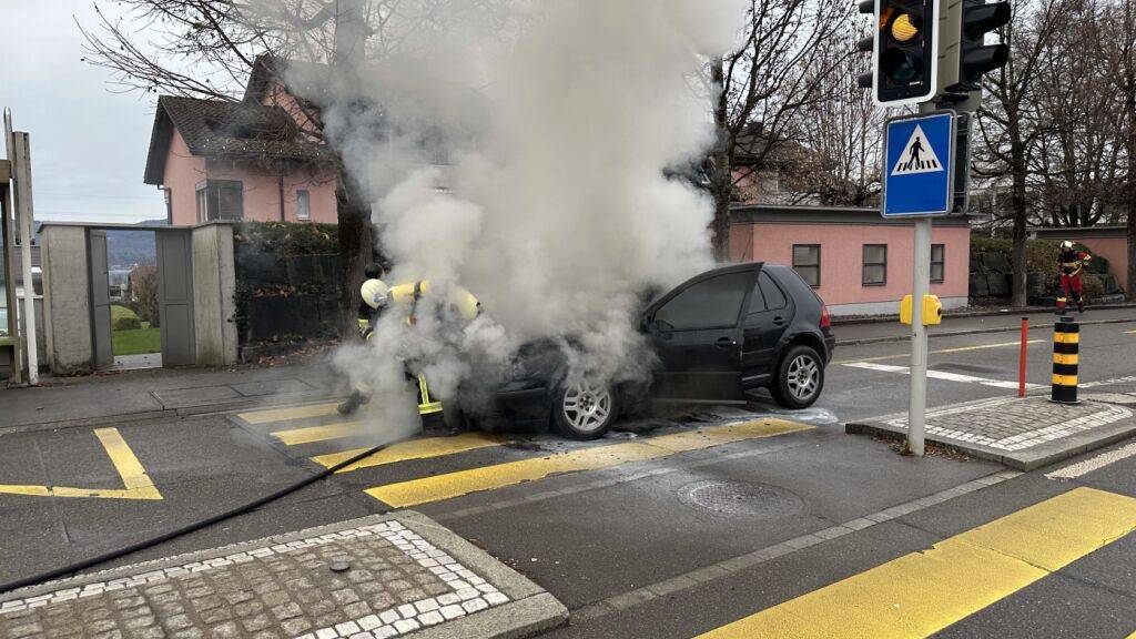 Die Feuerwehr brachte den Brand rasch unter Kontrolle.