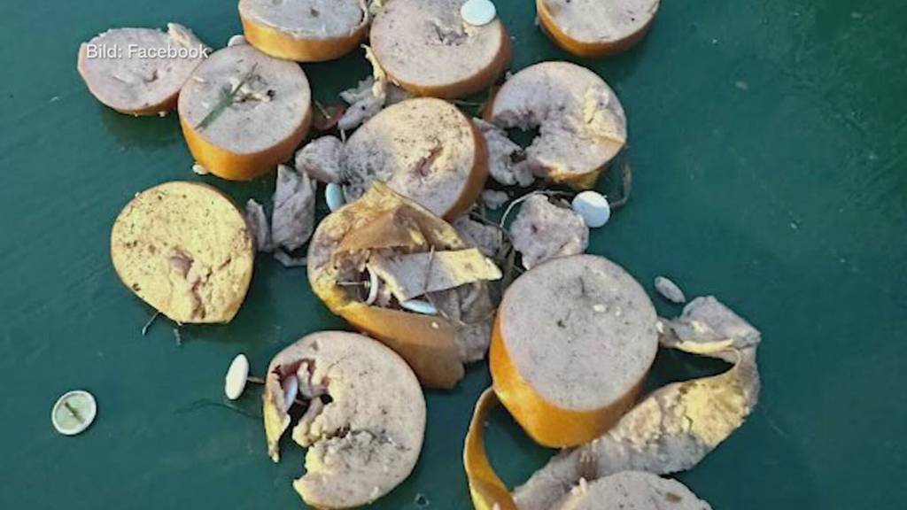 «Todesleckerli» – Hundehasser haben es auf Vierbeiner abgesehen