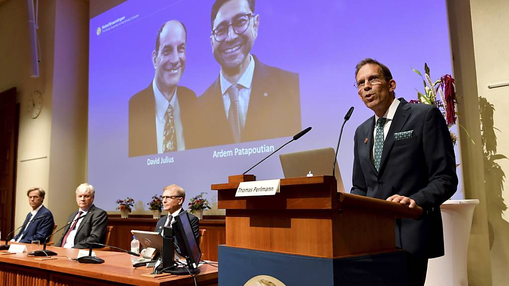 In Stockholm wurden am Montag die Nobel-Preisträger für Physiologie oder Medizin verkündet: Geehrt wurden die US-Forscher David Julius und Ardem Patapoutian.
