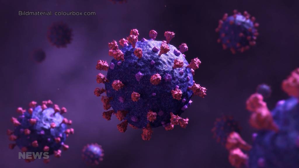 Durchbruch in der Corona-Forschung: Uni Bern entdeckt harmlosen Virus-Zwilling