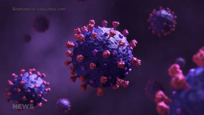 Durchbruch in der Corona-Forschung: Uni Bern entdeckt harmlosen Virus-Zwilling
