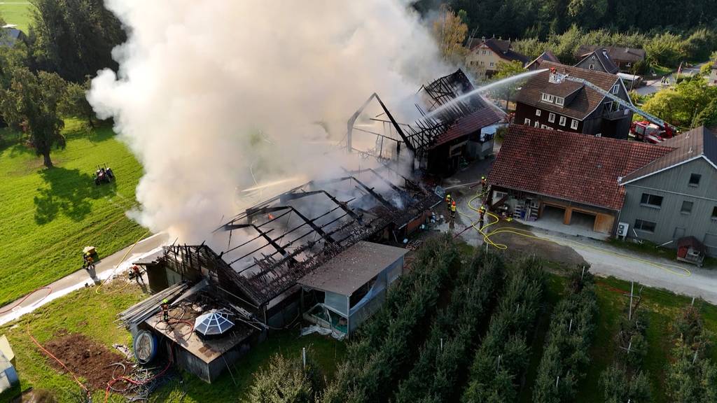 Grossbrand in Mörschwil: Zwei Scheunen niedergebrannt