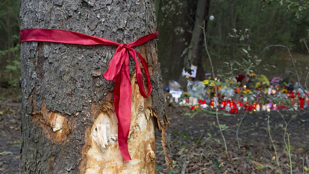 Bei einem Autounfall in norddeutschen Landkreis Cloppenburg sind am Freitagabend sechs Kinder schwer verletzt worden. Eine Mutter starb, als sie mit ihrem Auto in einen Baum fuhr. (Symbolbild)