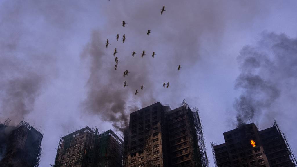 Vögel fliegen über die qualmenden Gebäude am Brandort des Wang Fuk Courts, einer Wohnsiedlung im Stadtteil Tai Po. Foto: Chan Long Hei/AP/dpa