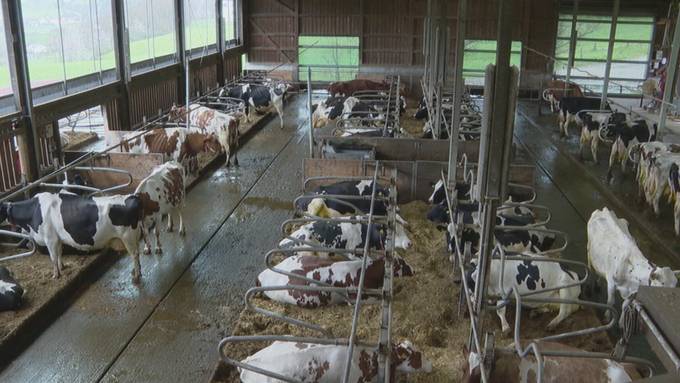 Gibt es in 20 Jahren keine Schweizer Milchbetriebe mehr?