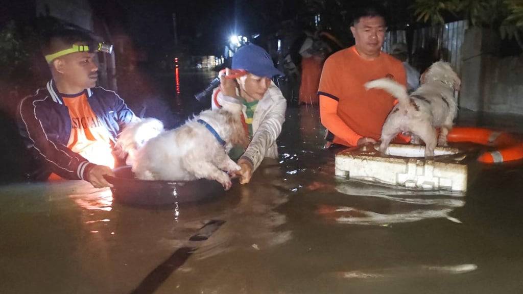 HANDOUT - In diesem von der philippinischen Küstenwache zur Verfügung gestellten Handout werden Anwohner und ihre Hunde von Rettungskräften evakuiert, als die Wasserpegel aufgrund des Taifuns «Bualoi» in der Provinz Leyte steigen. Foto: Uncredited/Philippine Coast Guard/AP/dpa - ACHTUNG: Nur zur redaktionellen Verwendung und nur mit vollständiger Nennung des vorstehenden Credits