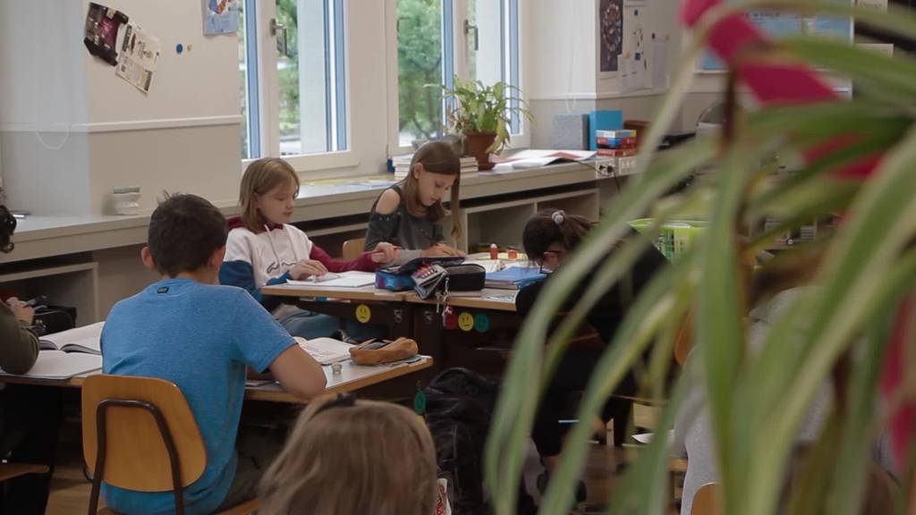 Unterstützung mit Fell: Hund Lucy in der Primarschule