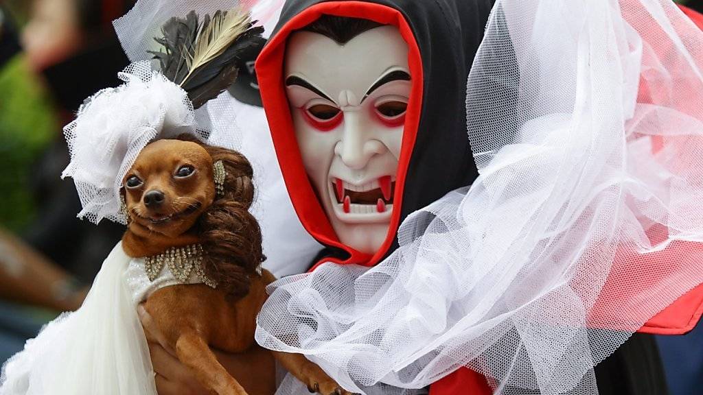 Halloween-Wettbewerb für Kinder und Haustiere auf den Philippinen.