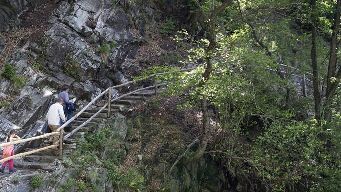 Eine junge Schweizerin lehnte sich beim Wandern an ein morsches Geländer und stürzte in den Tod. (Symbolbild)