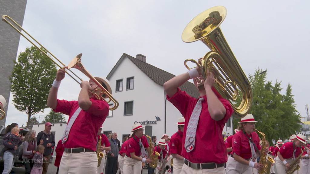 50 Wagen und Nummern ziehen am Winzerfest durch Döttingen
