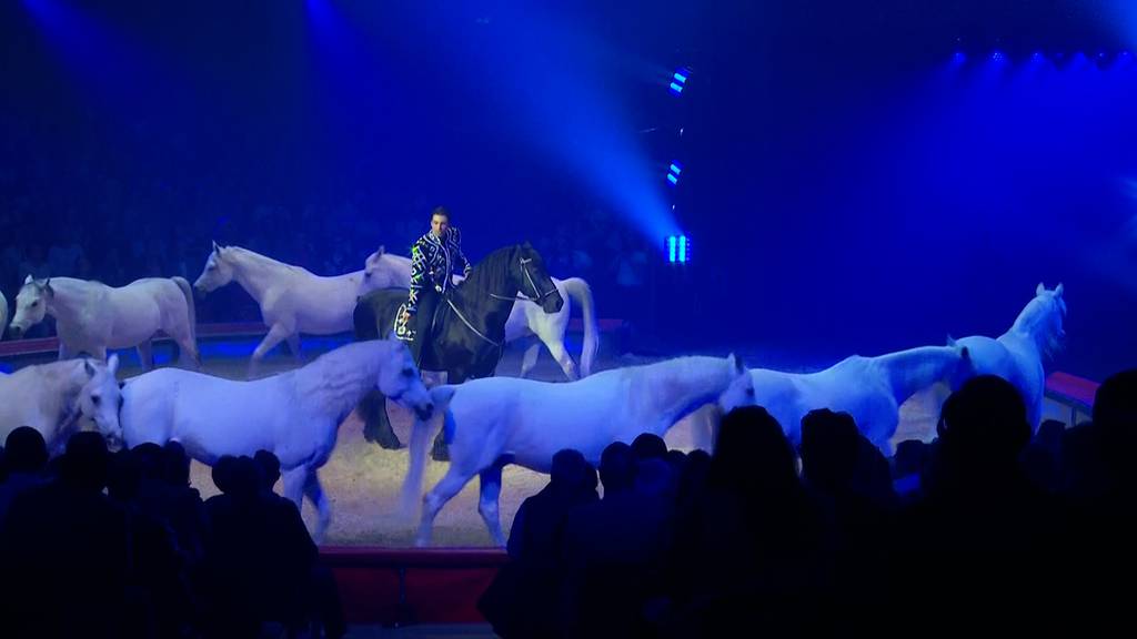 «Ich wäre das Pferd, auf dem Ivan Knie reiten würde» – Promis besuchen Zirkuspremiere