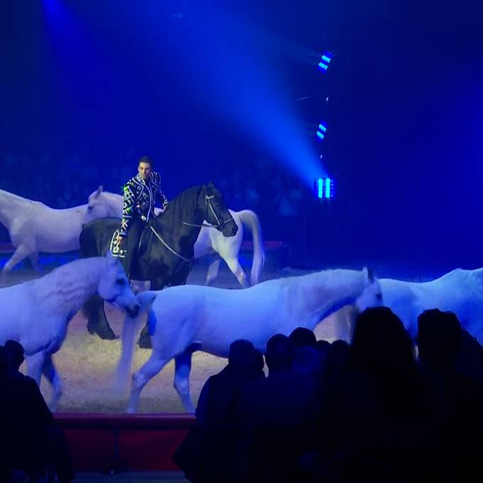 «Ich wäre das Pferd, auf dem Ivan Knie reiten würde» – Promis besuchen Zirkuspremiere