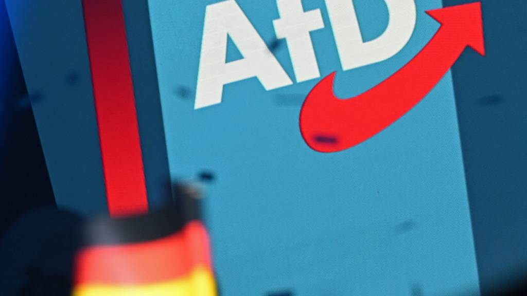 In Sachsen-Anhalt wird gewählt – AfD in Umfragen deutlich vorn