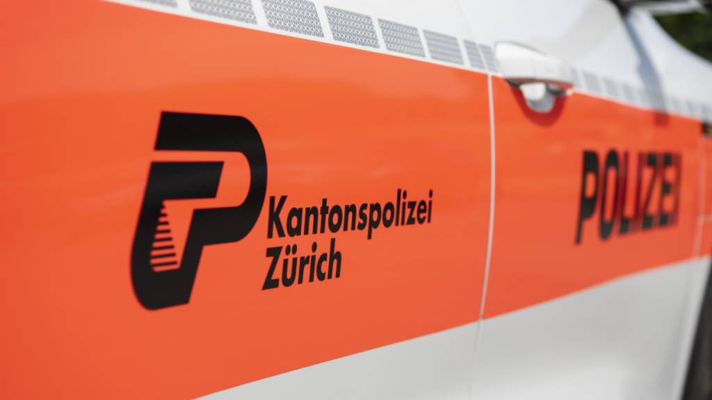 Die Kantonspolizei Zürich verhaftete am Mittwochnachmittag in Steinmaur zwei Einbrecher. (Symbolbild)