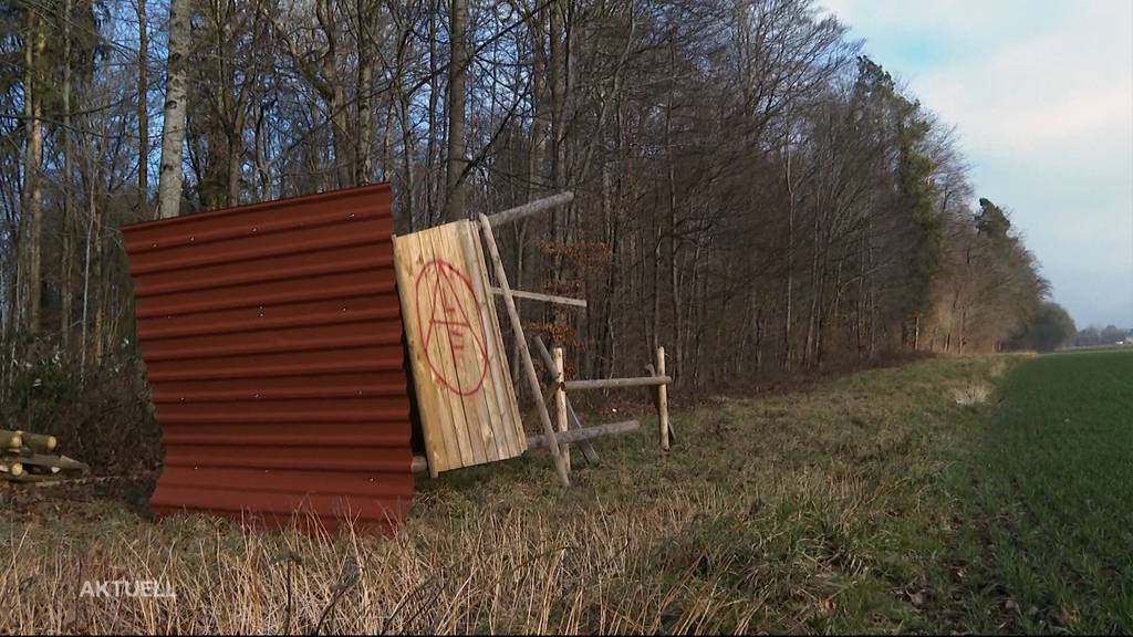 Tierschützer demolieren mehrere Jägerhochsitze