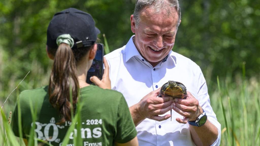 Der Freiburger Staatsrat Didier Castella beim Aussetzen einer Sumpfschildkröte am Freitag am Neuenburgersee.