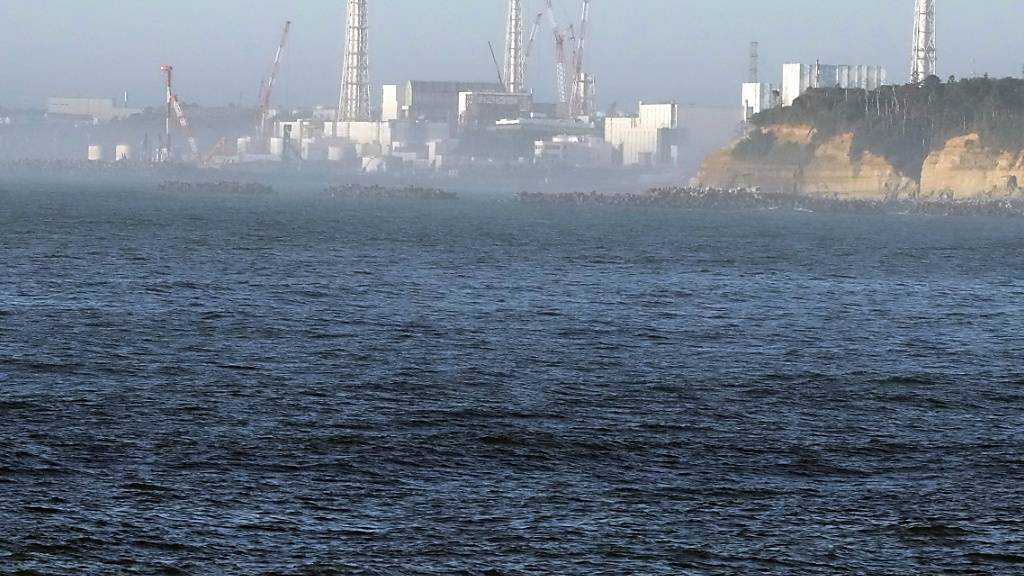 Voraussichtlich 30 Jahre wird die Verklappung der riesigen Wassermengen dauern. Foto: Eugene Hoshiko/AP