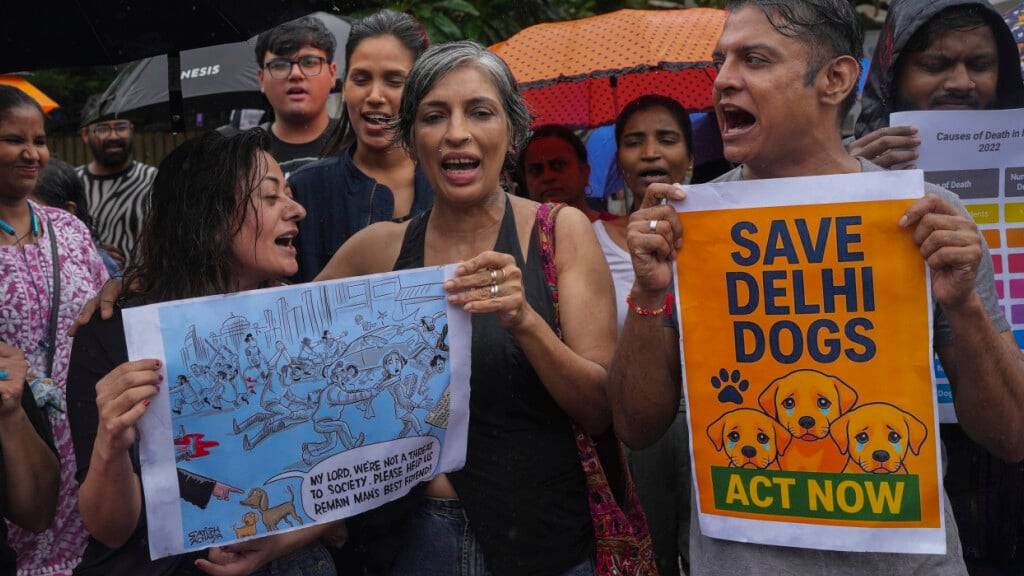 ARCHIV - Aktivisten halten Plakate während eines Protests gegen das Urteil des Obersten Gerichtshofs Indiens, alle streunenden Hunde von den Straßen zu entfernen. Foto: Rafiq Maqbool/AP/dpa
