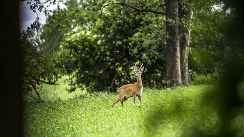 photo-1604689961661-ed5e1a11dbf0