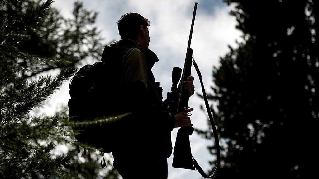 Die Jagdsaison im Wallis ist eröffnet: Rund 2400 Walliserinnen und Walliser haben ein Jagdpatent gelöst und dürfen ihr Gewehr schultern.