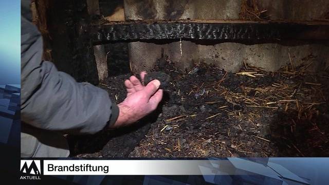 Schlagzeilen