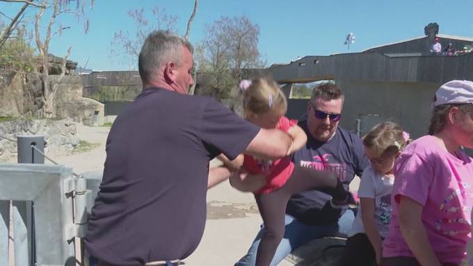 Fertig lustig: Knies Kinderzoo stellt das Elefantenreiten ein