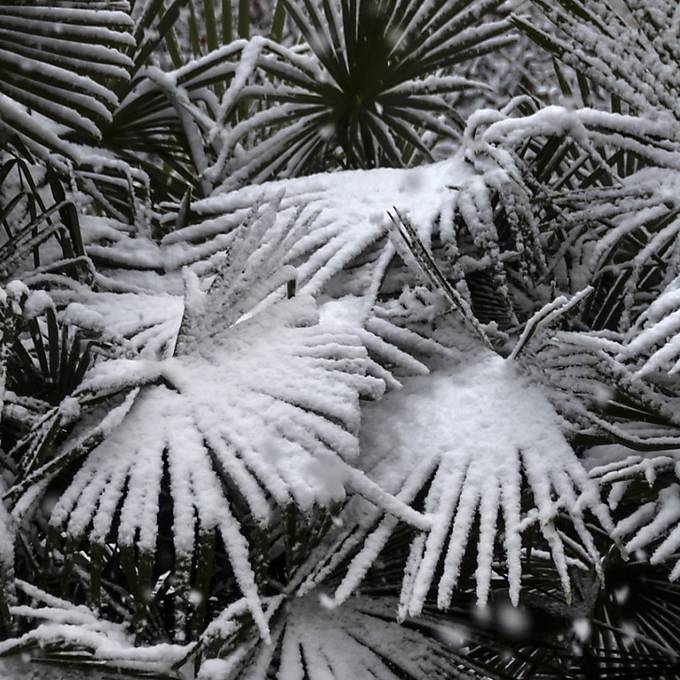 Pünktlicher Winterbeginn mit Schnee 