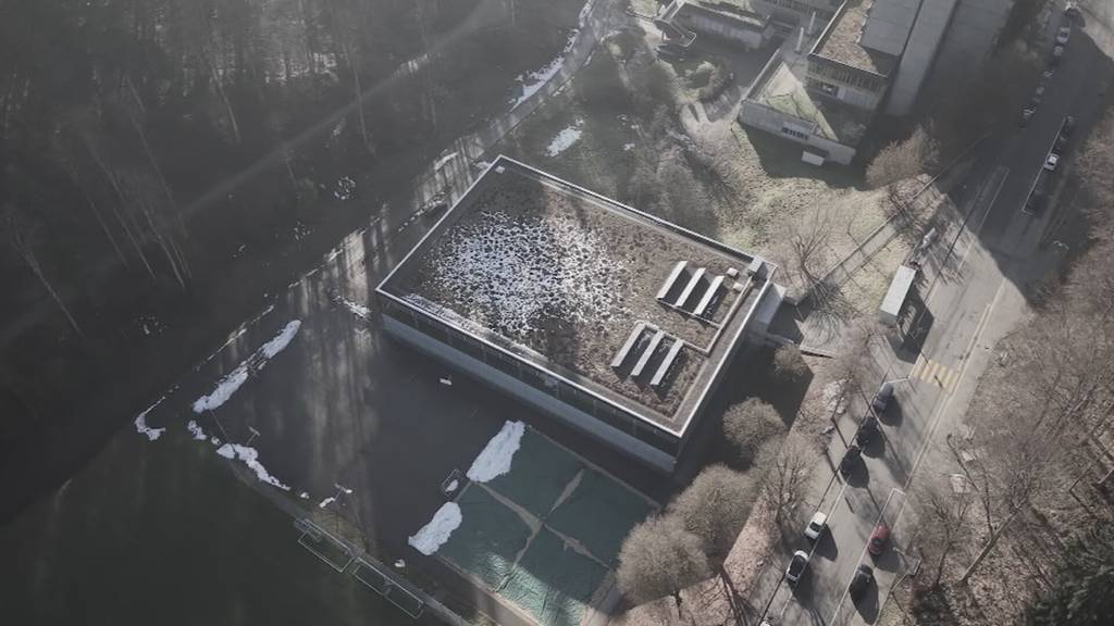 90-Cent-Wette: Sperre für WASA-Topscorer wegen Wettverstoss