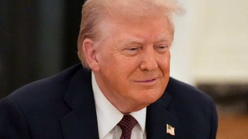 US-Präsident Donald Trump spricht im Weißen Haus. Foto: Alex Brandon/AP/dpa