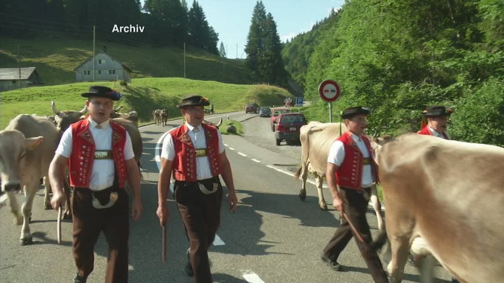 Autoärger an Alpabfahrt