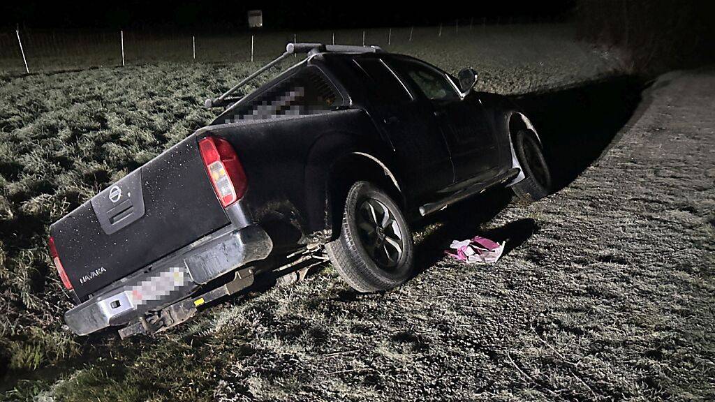 Nach einem Unfall mit einem gestohlenen Fahrzeug in Scherzingen TG hat die Polizei einen der Tatverdächtigen festgenommen.