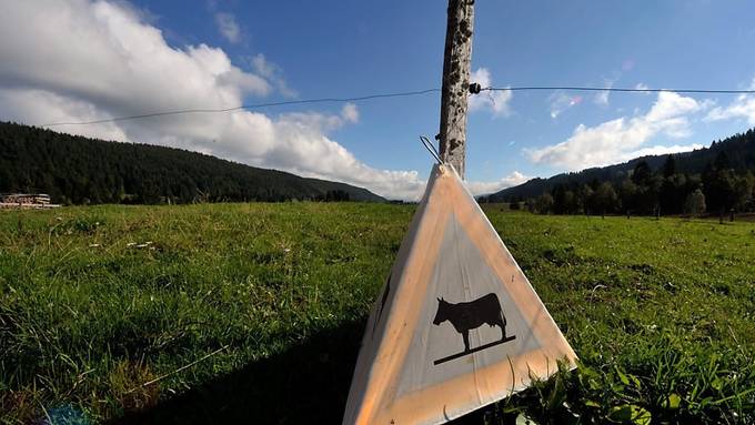 Biodiversität ging zurück