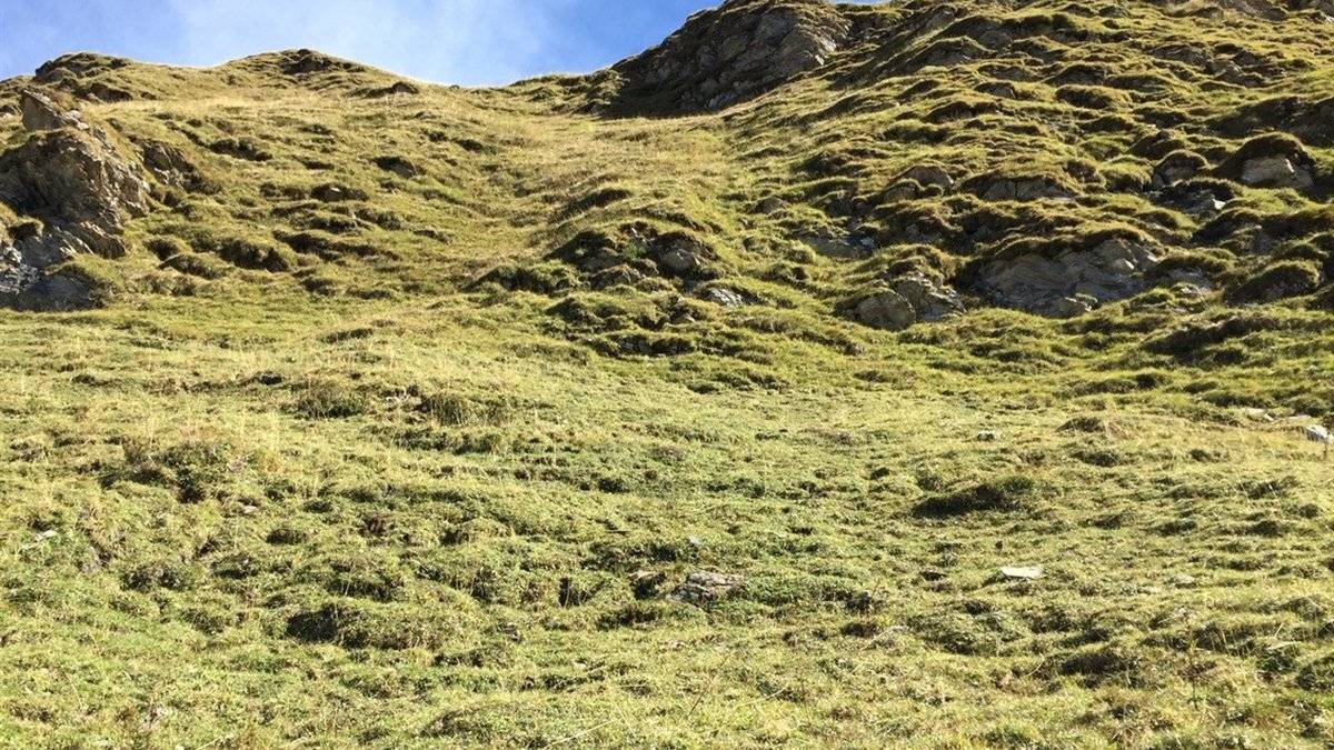 Die Frau stürzte rund 200 Meter in die Tiefe.