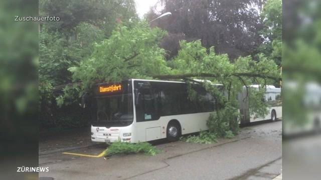 Grosser Schaden nach Gewitter