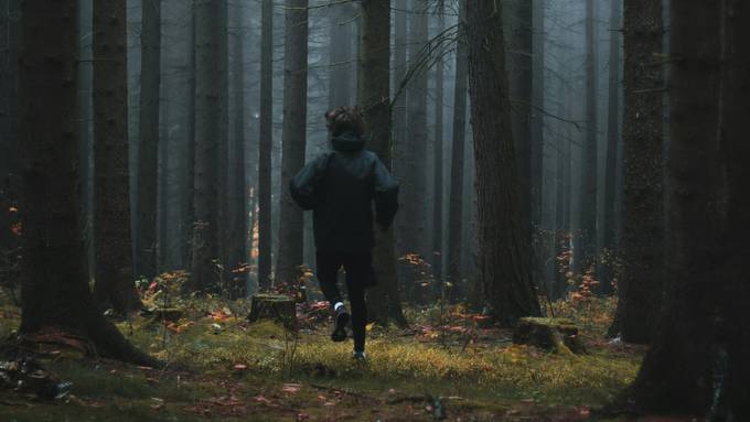 Kurze Flucht: Einbrecher in Aarau Rohr im Wald festgenommen