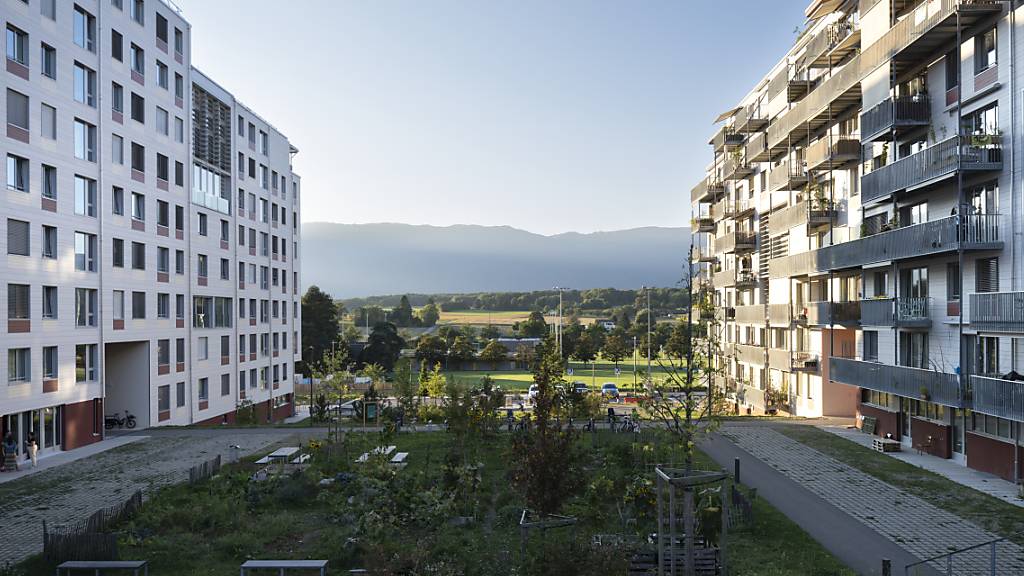 Wohnhäuser und Grünfläche dazwischen im Quartier "Les Vergers"in Meyrin. Die Genfer Vorortsgemeinde wurde mit dem Wakker-Preis 2022 ausgezeichnet.
