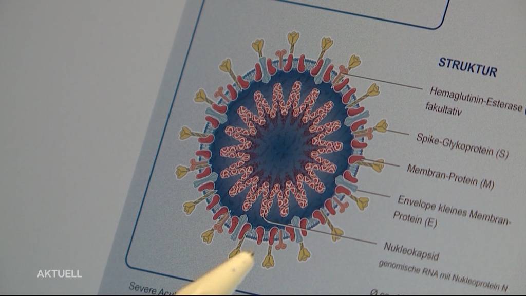 Daten zur Virusmutation Omikron