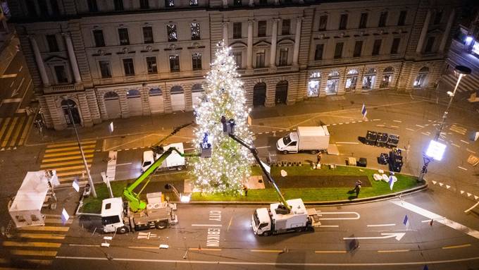 Grösster Weihnachtsbaum beim Luzernerhof leuchtet bald wieder
