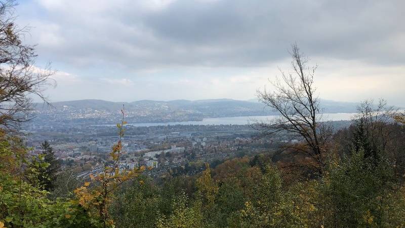 Die Schonsten Grillplatze In Und Um Zurich Radio 24