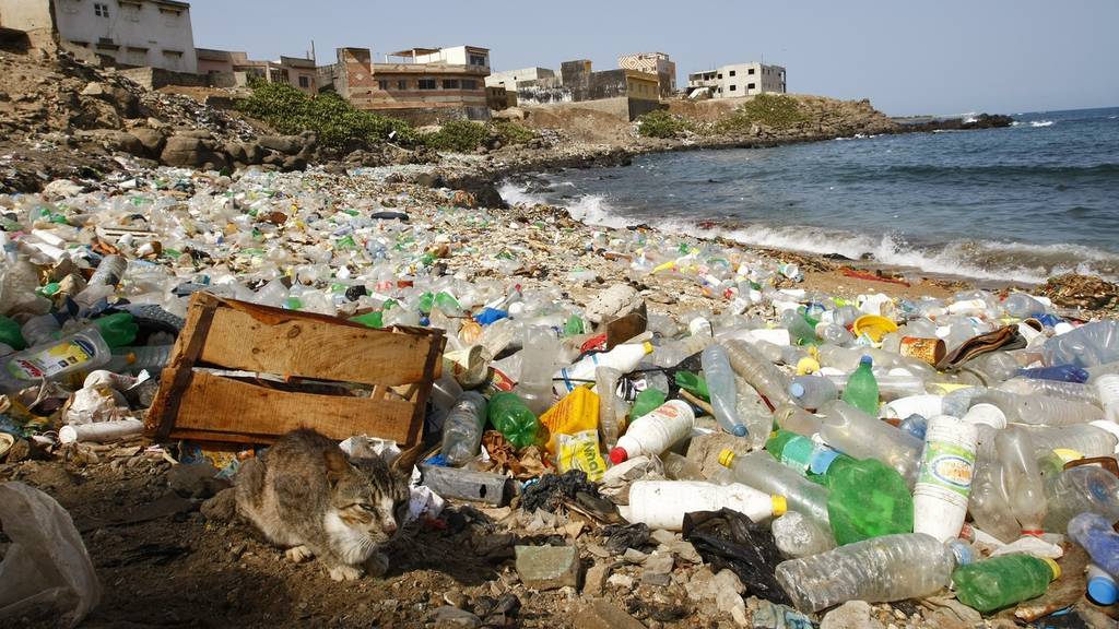 Die bekanntesten YouTuber der Welt starten Aktion für weniger Plastik im Meer